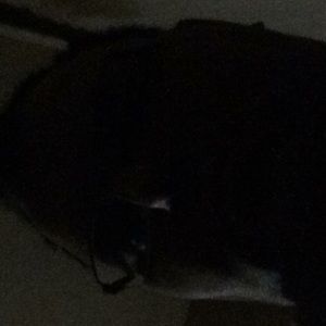 Meet your Posher, Todd